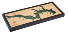 Lake Georgetown Wood Carved Topographical Depth Chart/Map