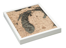 Lake Michigan Wood Carved Topographic Depth Chart/Map