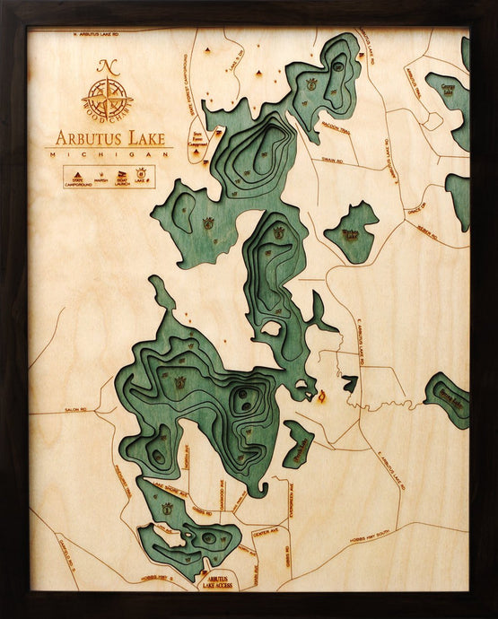 Arbutus, Traverse City Wood Carved Topographic Depth Chart/Map