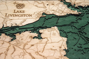 Lake Livingston Wood Carved Topographic Depth Chart/Map