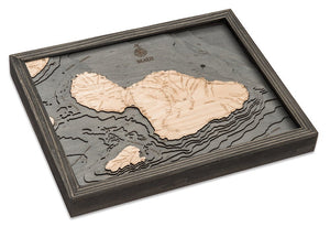 Maui Wood Carved Topographic Depth Chart/Map