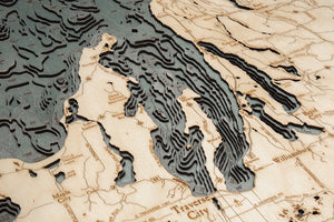Northwest Michigan Wood Carved Topographic Depth Chart/Map